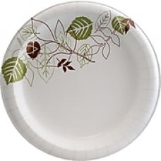 Dixie Pathways 8.5" Medium-Weight (UX9WS) Paper Plates, 125/Pack, 4 Packs/Carton