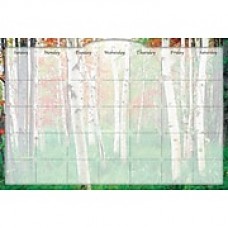 Biggies- Dry Erase Stickie Monthly Calendar, Aspen Grove, 36"