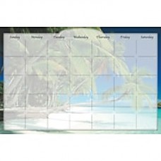 Biggies, 3'W x 2'H, Film Dry Erase Stickie Monthly Calendar, Beach Island (DC-BHI-36)