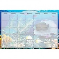 Biggies, 36" L, Film Dry Erase Stickie Monthly Coral Garden Calendar (DC-CLG-36)