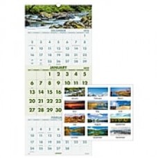 2019 AT-A-GLANCE® Scenic 3-Month Wall Calendar, 14 Months, December Start, 12" x 27", Wirebound (DMW503-28-19)