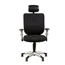 Sealy Fabric Computer and Desk Office Chair, Adjustable Arms, Black (DS-1942-452-2)