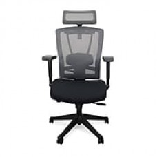 Autonomous ErgoChair, Premium Ergonomic Office Chair, All Black