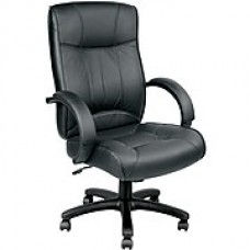 Eurotech Odyssey Leather Executive Office Chair, Fixed Arms, Black (LE9406-BLKL)