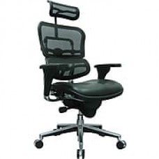 Eurotech Ergohuman Leather Executive Office Chair, Adjustable Arms, Black (LEM4ERG-LBK(N))