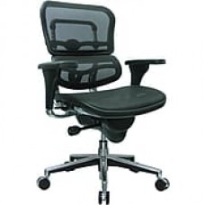 Raynor Ergohuman Mesh Computer and Desk Office Chair, Black, Adjustable Arm (ME8ERGLO(N))