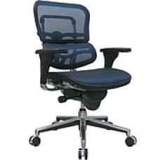 Raynor Ergohuman Mesh Computer and Desk Office Chair, Blue, Adjustable Arm (ME8ERGLO-BLUE(N)