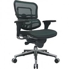 Raynor Ergohuman Mesh Computer and Desk Office Chair, Green, Adjustable Arm (ME8ERGLO-GRN(N)