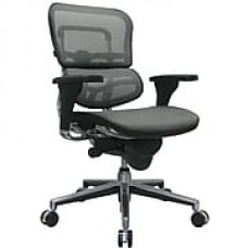 Raynor Ergohuman Mesh Computer and Desk Office Chair, Gray, Adjustable Arm (ME8ERGLO-GREY(N)