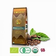 FUERTE®Esmeralda™ Whole Bean Coffee One Pound Medium Roast USDA Organic, Pack of 5 (BX020)